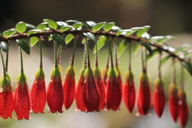广州越秀区1私人快速借钱网，轻松解决资金难题