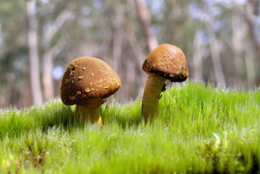 广州越秀区1私人老板放款：轻松融资的秘密通道